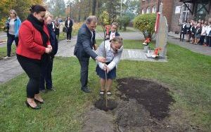 Drzewa na Stulecie Niepodległości (14)