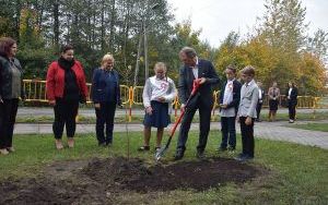 Drzewa na Stulecie Niepodległości (16)