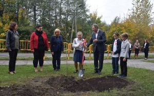 Drzewa na Stulecie Niepodległości (17)