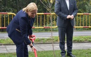 Drzewa na Stulecie Niepodległości (21)