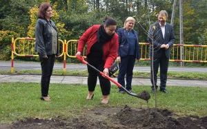 Drzewa na Stulecie Niepodległości (22)